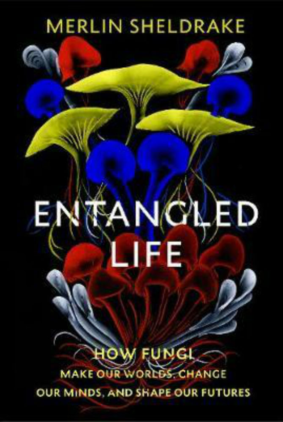 Паперова книга «Entangled Life», автор Мерлін Шелдрейк - фото №1