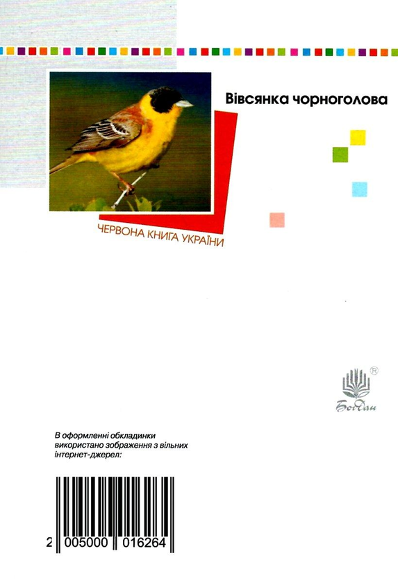 [object Object] «Українська мова. 2 клас. Тестові завдання», автор Наталя Будна - фото №2 - мініатюра
