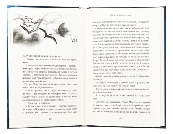 Бумажная книга «Океан у кінці вулиці», автор Нил Гейман - фото №1