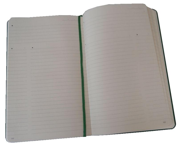  «Недатированная записная книжка Moleskine Folio Professional Зеленая (978-88-6732-020-2)», бренда Moleskine - фото №1