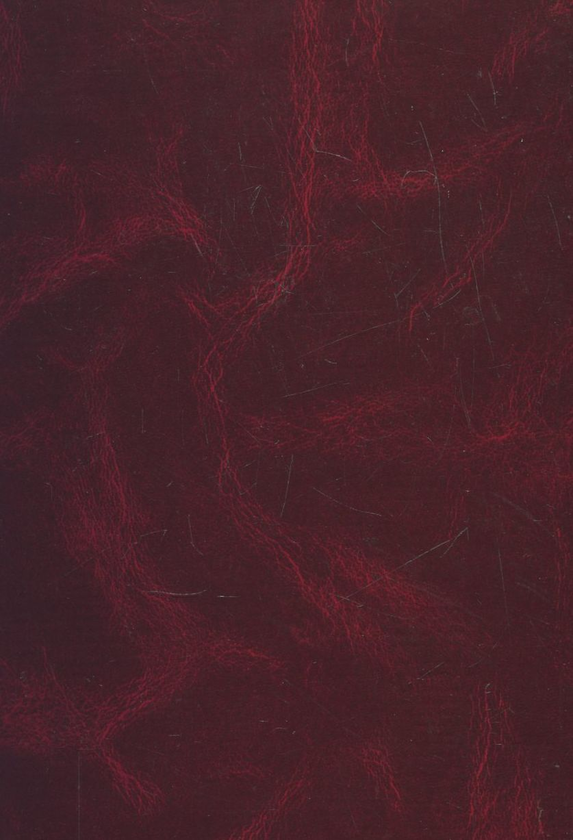 Бумажная книга «Історія молодого Геґеля. Відновлення геґельянства», авторов Вильгельм Дильтей, Вильгельм Виндельбанд - фото №1