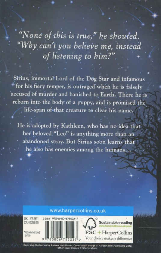 Паперова книга «Dogsbody», автор Діана Вінн Джонс - фото №1