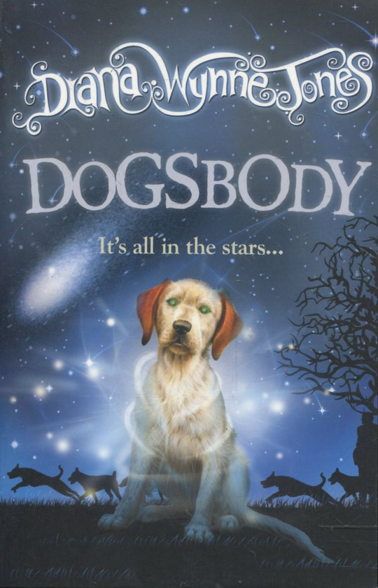 Паперова книга «Dogsbody», автор Діана Вінн Джонс - фото №1
