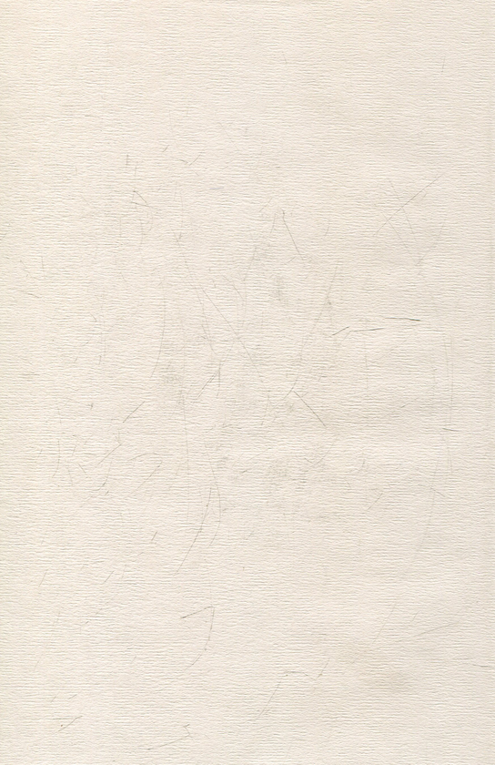 Бумажная книга «Щоденники. Том 1. 1911-1920 роки», автор Владимир Винниченко - фото №1