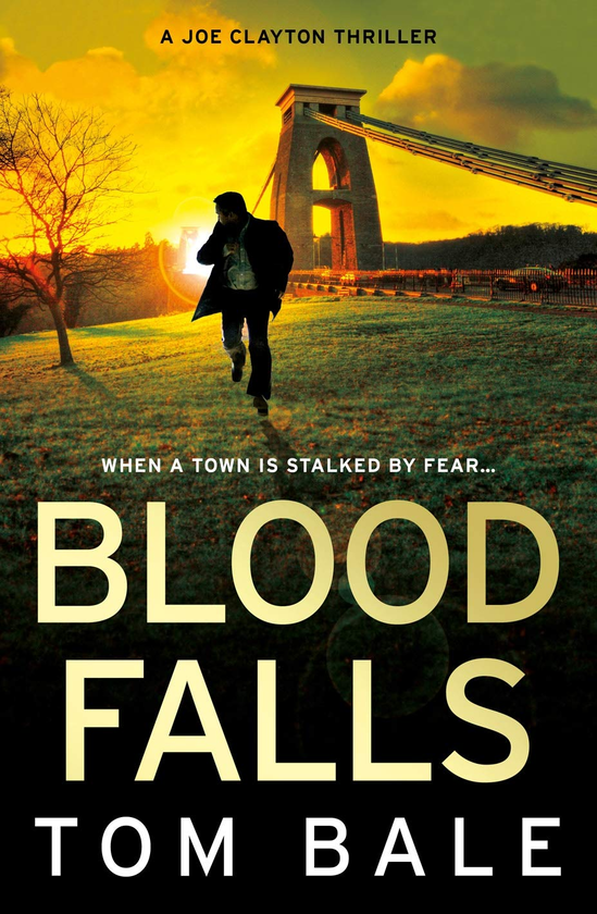 Паперова книга «Blood Falls», автор Том Бейл - фото №1
