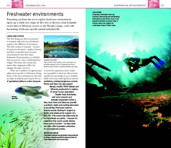 Бумажная книга «Eyewitness Companions: Scuba Diving», авторов Монти Холлс, Миранда Крестовникофф - фото №1