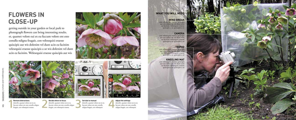 Паперова книга «How to Photograph Absolutely Everything», автор Том Енг - фото №1
