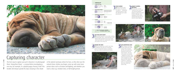 Паперова книга «How to Photograph Absolutely Everything», автор Том Енг - фото №1