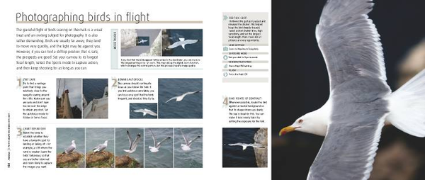 Паперова книга «How to Photograph Absolutely Everything», автор Том Енг - фото №1