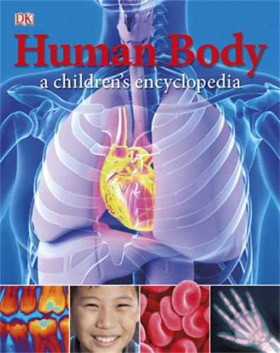 Бумажная книга «Human Body: A Children's Encyclopedia» - фото №1