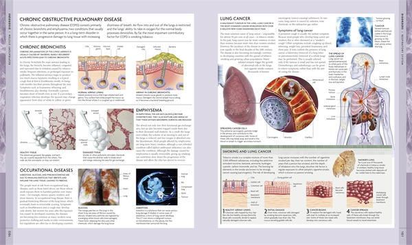 Бумажная книга «Human Body Book (+ DVD-ROM)», автор Стив Паркер - фото №1
