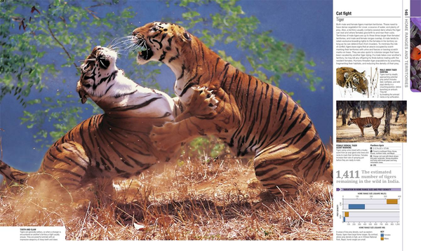Бумажная книга «Illustrated Encyclopedia of Animal Life», автор Шарлотта Уленбрук - фото №1