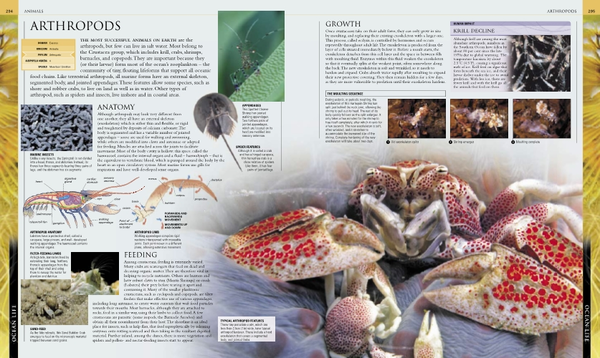 Бумажная книга «Illustrated Encyclopedia of the Ocean» - фото №1