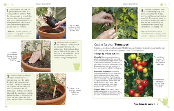Бумажная книга «A Little Course in Growing Veg & Fruit» - фото №1