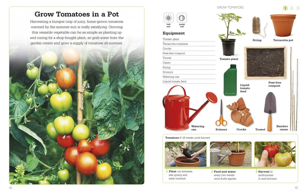 Бумажная книга «A Little Course in Growing Veg & Fruit» - фото №1