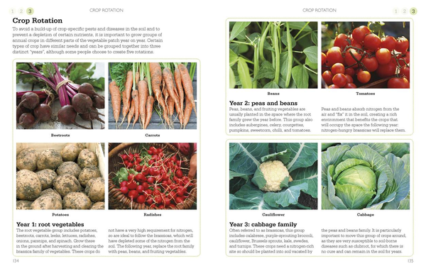 Бумажная книга «A Little Course in Growing Veg & Fruit» - фото №1
