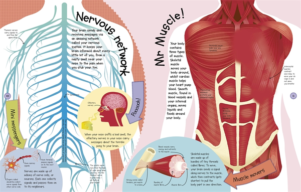 Бумажная книга «Outside in Human Body» - фото №1