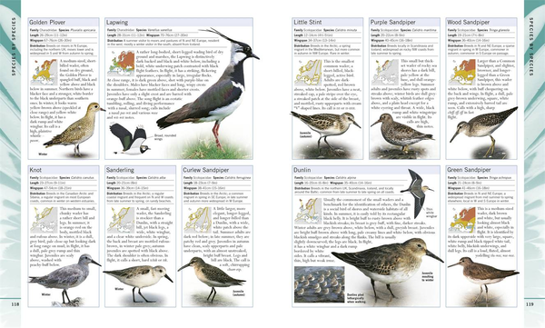 Паперова книга «RSPB Birdwatching for Beginners», автор Роб Г'юм - фото №1