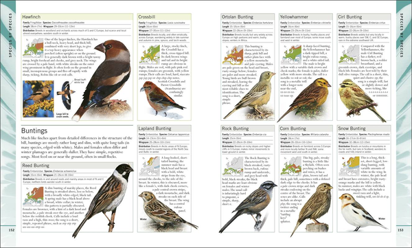 Паперова книга «RSPB Birdwatching for Beginners», автор Роб Г'юм - фото №1