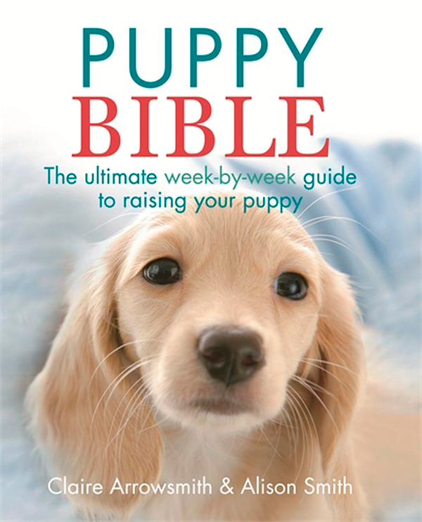 [object Object] «The Puppy Bible: The Ultimate Week-by-Week Guide to Raising Your Puppy», авторов Клэр Эрроусмит, Элисон Смит - фото №2 - миниатюра