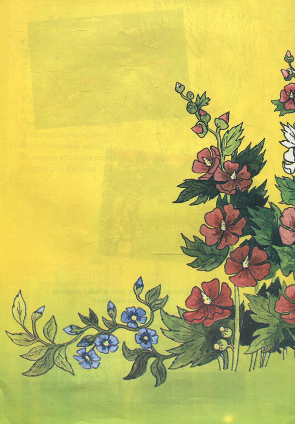 Бумажная книга «Розумійко» - фото №1