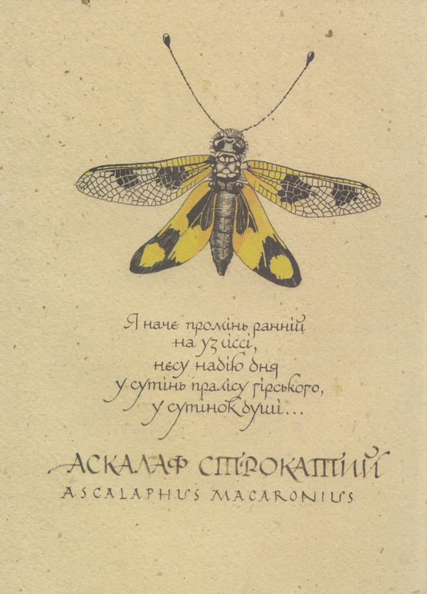 Бумажная книга «Поетична червона книга України / Poetics of Endangered Species Ukraine» - фото №1