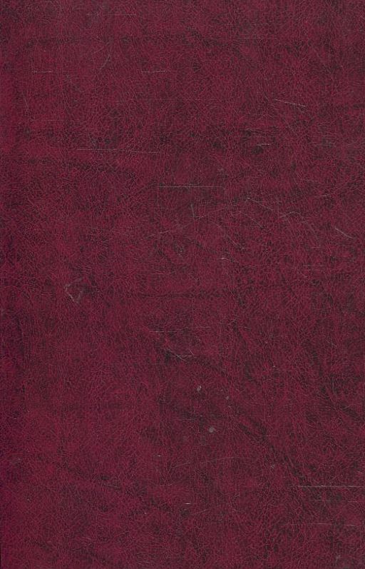 Бумажная книга «В. Свідзінський. Поезiї», автор Владимир Свидзинский - фото №1