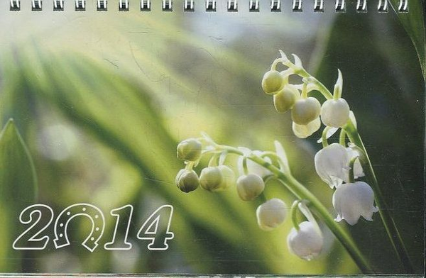 Книга Перекидний календар на 2014 рік. Квiти