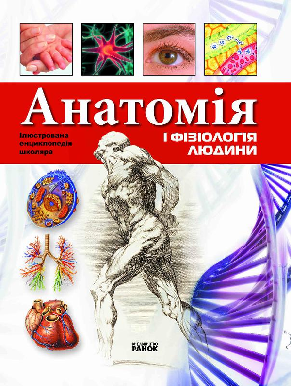 Паперова книга «Анатомія та фізіологія людини», автор Яна Батій - фото №1