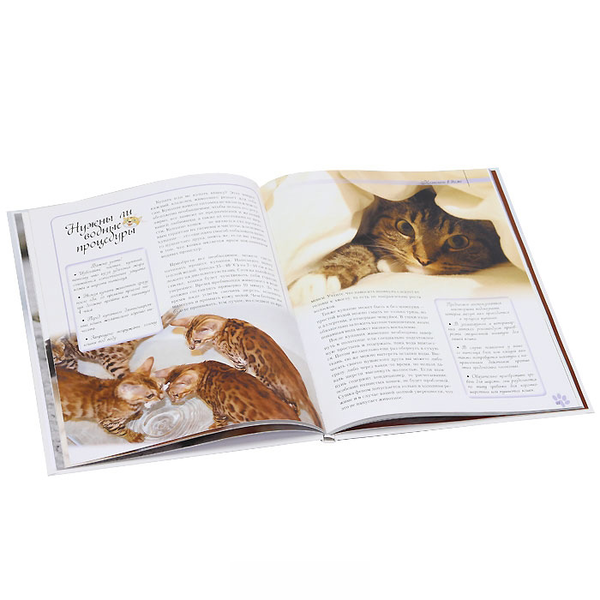 Паперова книга «Наші любі вихованці - кішки», автор Катерина Шейкіна - фото №1