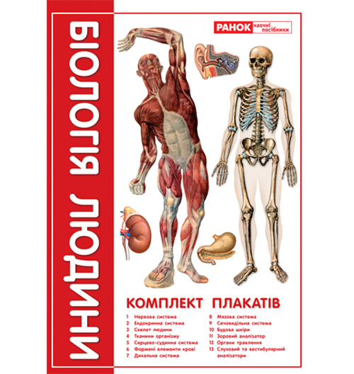 Бумажная книга «Комплект плакатів "Біологія людини" 9 клас» - фото №1