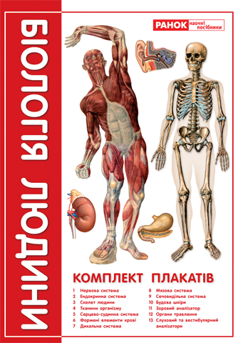 Книга Комплект плакатів "Біологія людини" 9 клас