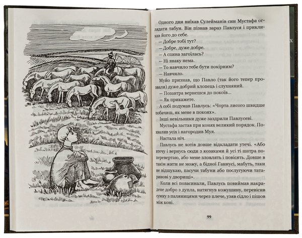 Бумажная книга «За сестрою», автор Андрей Чайковский - фото №1