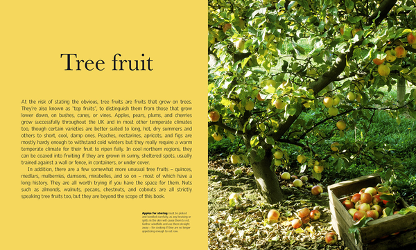 Паперова книга «Grow Fruit», автор Алан Букінгем - фото №1