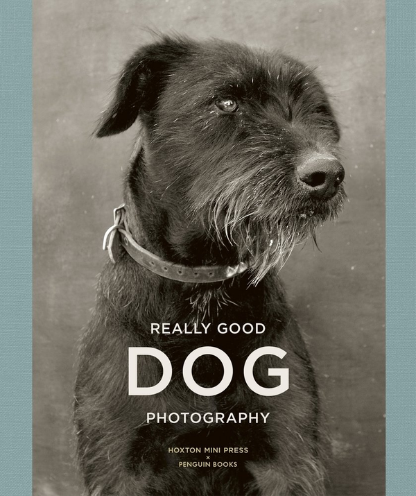 Бумажная книга «Really Good Dog Photography» - фото №1