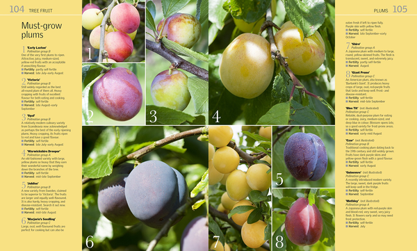 Паперова книга «Grow Fruit», автор Алан Букінгем - фото №1