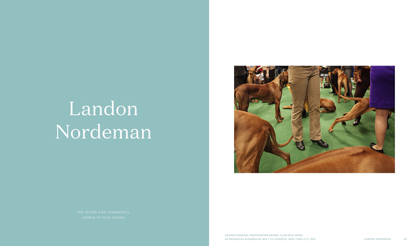 Бумажная книга «Really Good Dog Photography» - фото №1