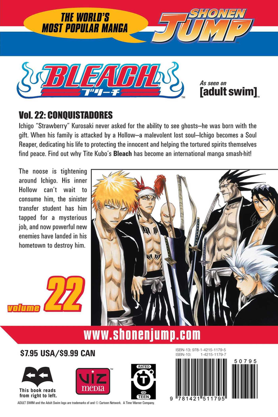Бумажная книга «Bleach. Volume 22», автор Тайто Кубо - фото №1