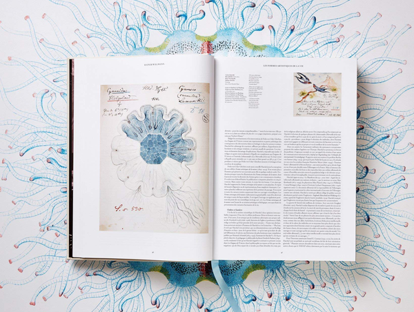 Бумажная книга «The Art and Science of Ernst Haeckel», авторов Райнер Вилльманн, Джулия Восс - фото №1