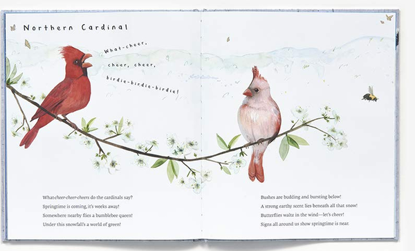 Бумажная книга «Snow Birds», автор Кирстен Холл - фото №1