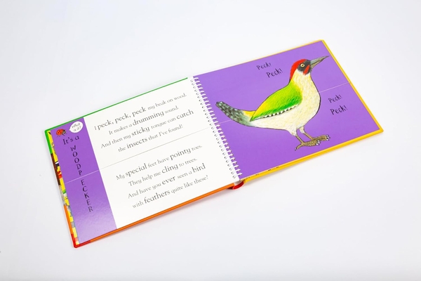 Бумажная книга «Axel Scheffler's Flip Flap Forest» - фото №1