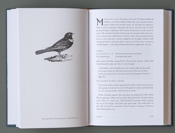 Бумажная книга «A Year with Gilbert White», автор Дженни Углоу - фото №1