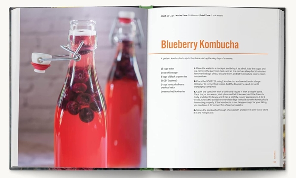 Паперова книга «Mastering Fermentation», автор Кіт Сарасін - фото №1