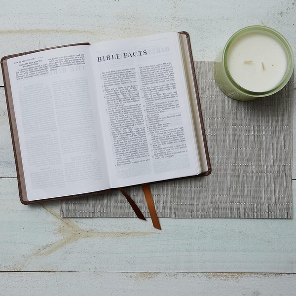 Бумажная книга «NRSV Catholic Edition Gift Bible», автор Католическое библейское издательство - фото №1