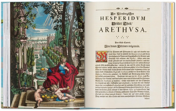 Бумажная книга «J. C. Volkamer. The Book of Citrus Fruits», автор Айрис Лаутербах - фото №1