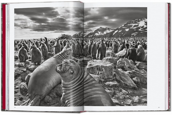 Бумажная книга «Sebastião Salgado. Genesis. 45th Ed.» - фото №1