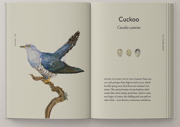 Бумажная книга «The Book of Birds: A Field Guide to Wonder and Loss», авторов Джеки Моррис, Роберт Макфарлейн - фото №1