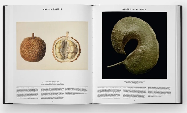 Бумажная книга «Plant: Exploring the Botanical World», автор Редакторы "Phaidon" - фото №1