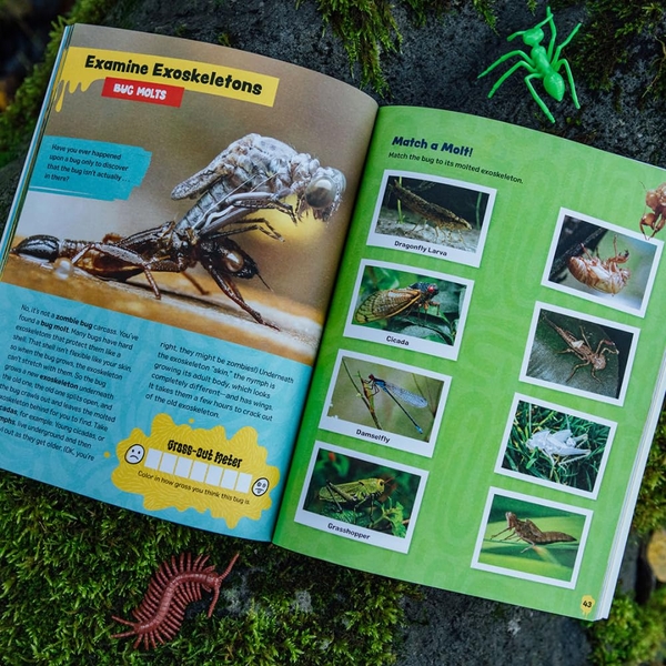 Бумажная книга «The Grossest Bug Activity Book EVER!», автор Спрус Букс - фото №1