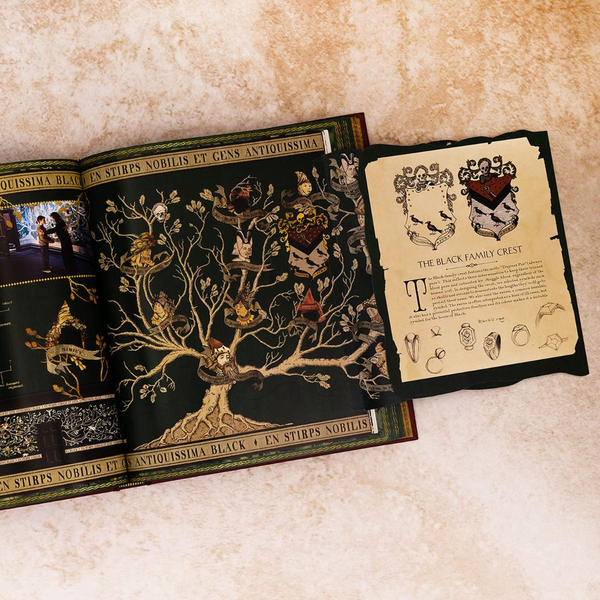 Бумажная книга «The Magic of MinaLima» - фото №1